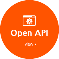 Open API